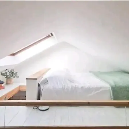 The Carton Store Loft Apt
